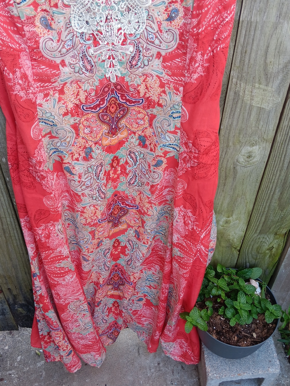 Reba 🎂 Coral Lace-Detail Maxi Dress - Picture 6 of 13